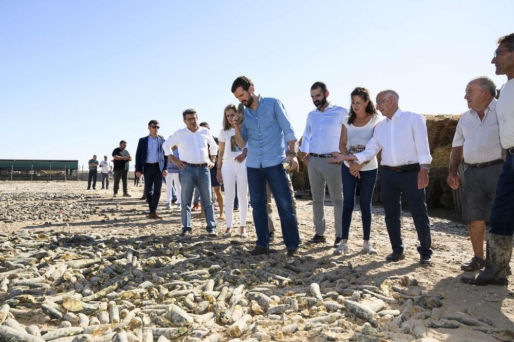 Fernández-Pacheco agradece a Pablo Casado que “venga a Almería para, sobre el terreno y con  la gente, conocer los efectos de la gota fría”