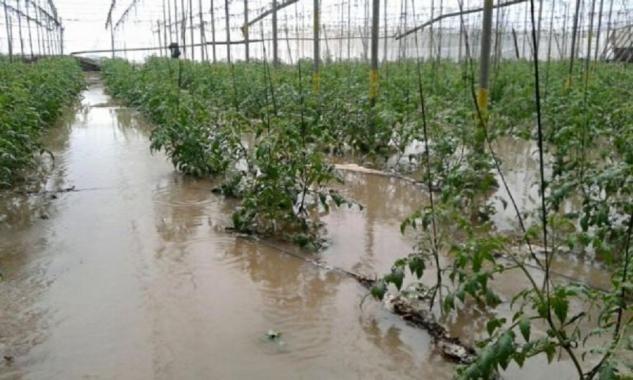 Los daños del temporal en infraestructuras públicas y privadas de la Región ascienden a casi 600 millones