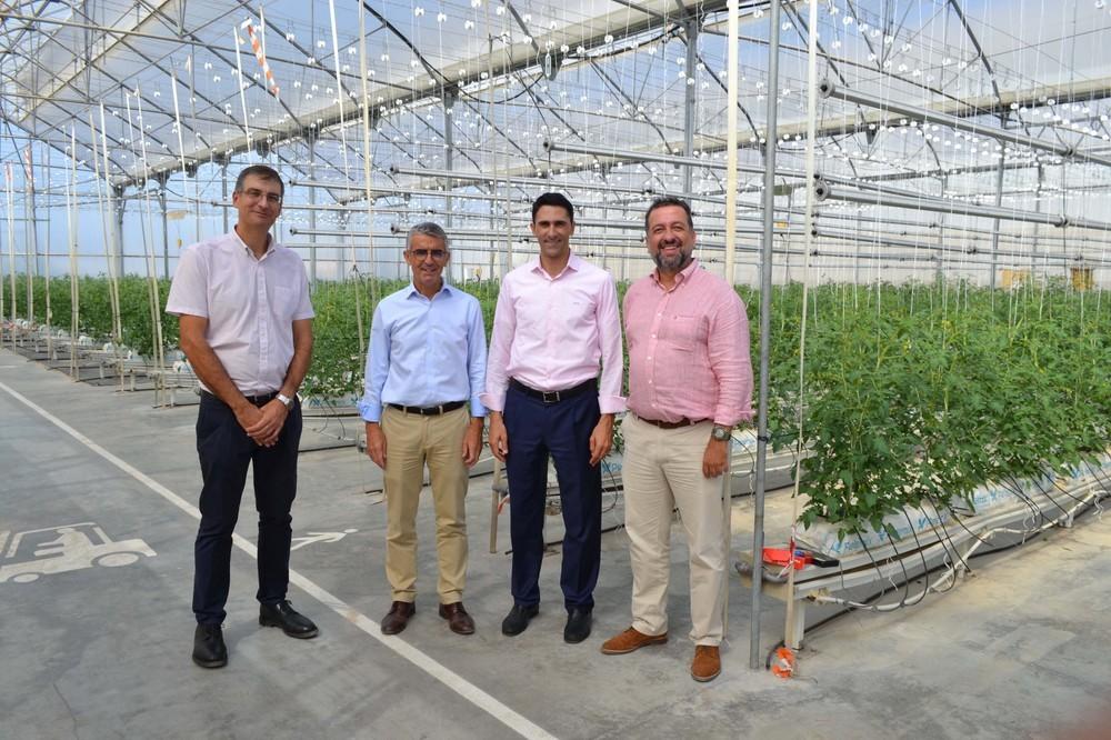 Cajamar y Signify firman un acuerdo para investigar el crecimiento de cultivos agrícolas con iluminación artificial