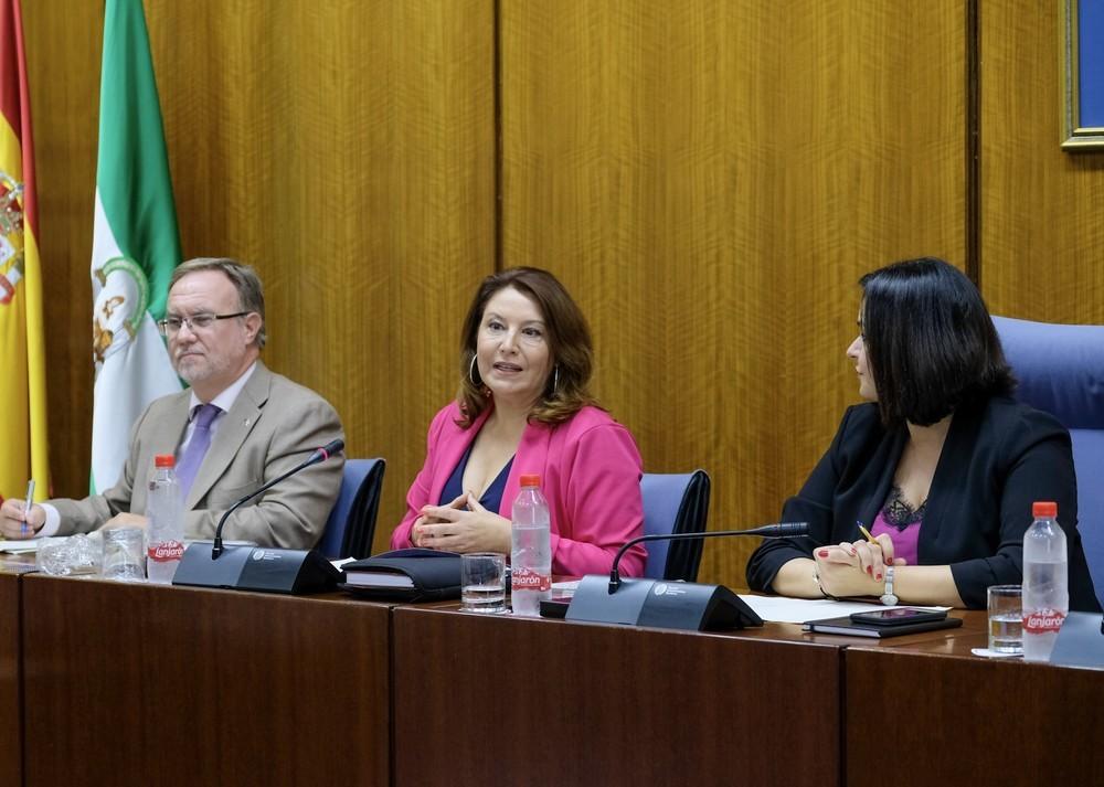 Crespo destaca en el Parlamento que “el 70 por ciento del gasto en el presupuesto de 2020 se destinará a inversión”