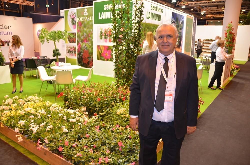 Semilleros Laimund y Joepa Sur lideran  la producción nacional de dipladenia