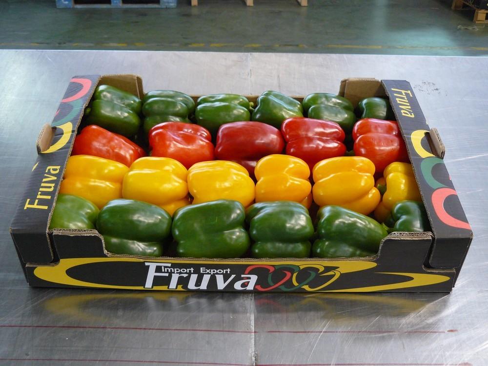 Import-Export Fruva crece