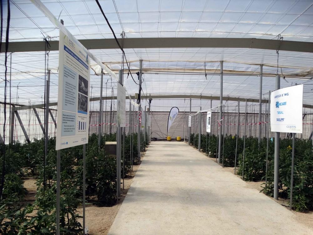 Growing For The Future: la agricultura avanzada basada en la seguridad alimentaria