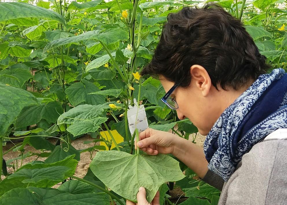Agrobío consolida sus soluciones de control biológico para un cultivo sano y libre de residuos