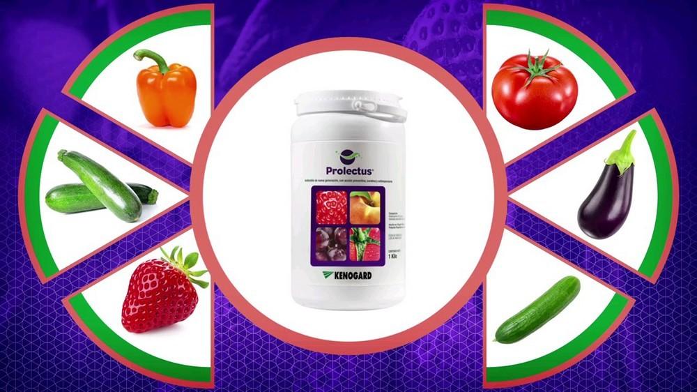 Prolectus, antibotritis para hortícolas en invernadero: una sola materia activa, un solo día de plazo