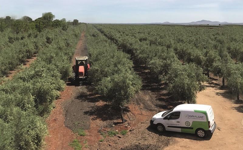 Los bioestimulantes de AlgaEnergy obtienen el prestigioso sello de ‘Solar Impulse - Efficient Solutions’