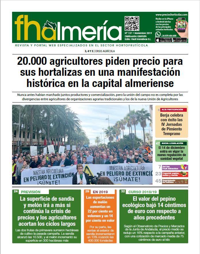 Nº 137- Noviembre 2019
