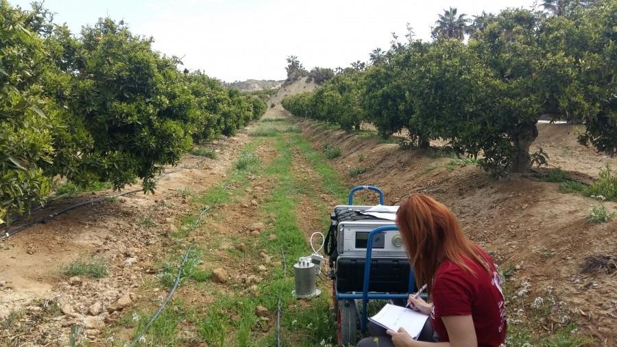 Investigadores de la UPCT reducen un 10% las emisiones de CO2 de almendros y cítricos con prácticas sostenibles