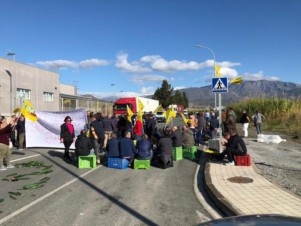 Agricultores convocados por COAG cortan la principal vía de entrada y salida del Puerto de Motril en protesta por las importaciones sin control