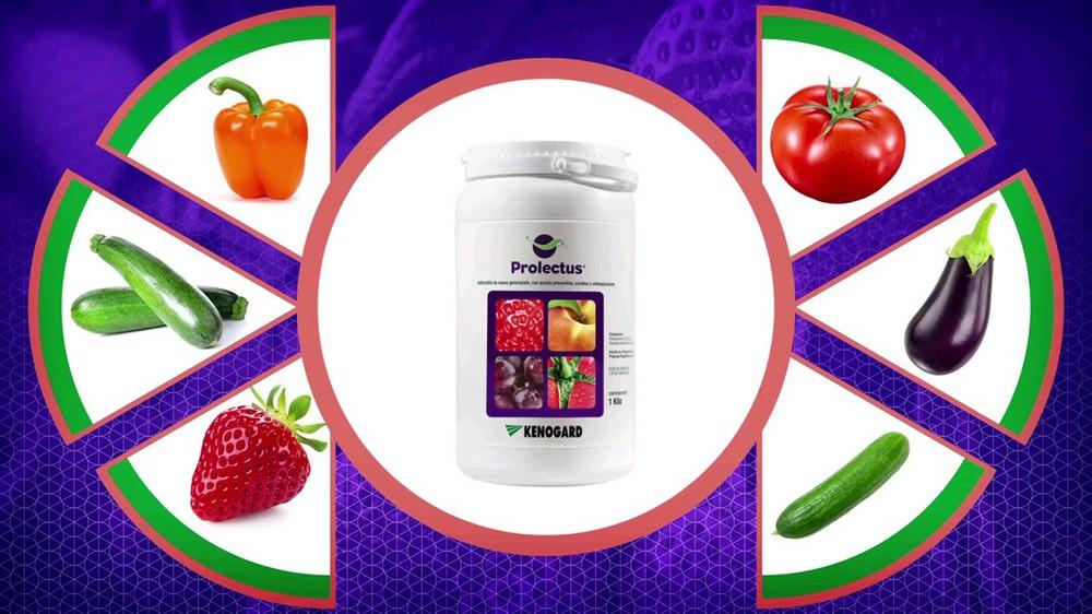 Prolectus, antibotritis para hortícolas en invernadero: una sóla materia activa, un solo día de plazo