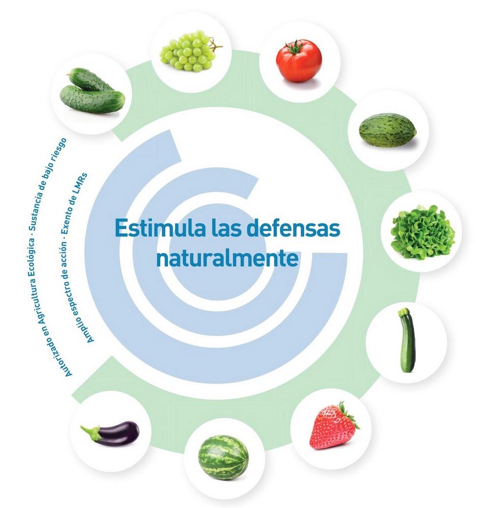 Romeo, nuevo fungicida inductor de las defensas naturales de la planta