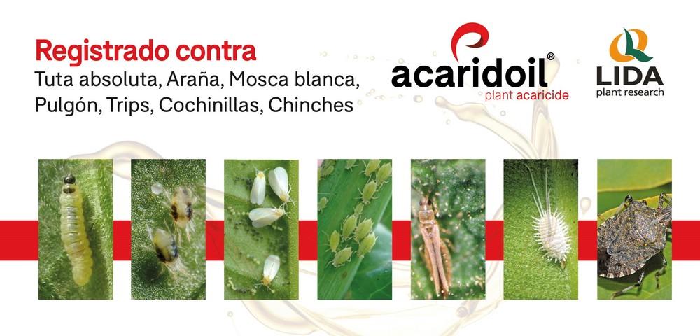 LIDA Plant Research lanza al mercado dos nuevas herramientas para ayudar a combatir la Tuta absoluta
