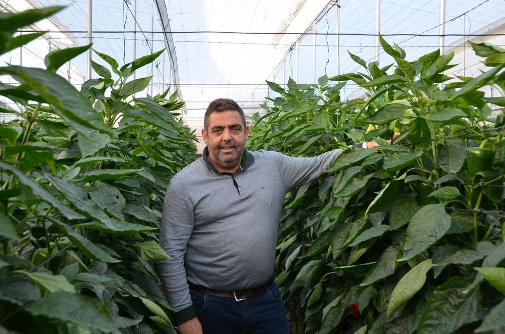 “Al tener un cultivo temprano, busco una variedad que tenga un viraje rápido y frutos con calibre G-GG, justo lo que me da Claque RZ”