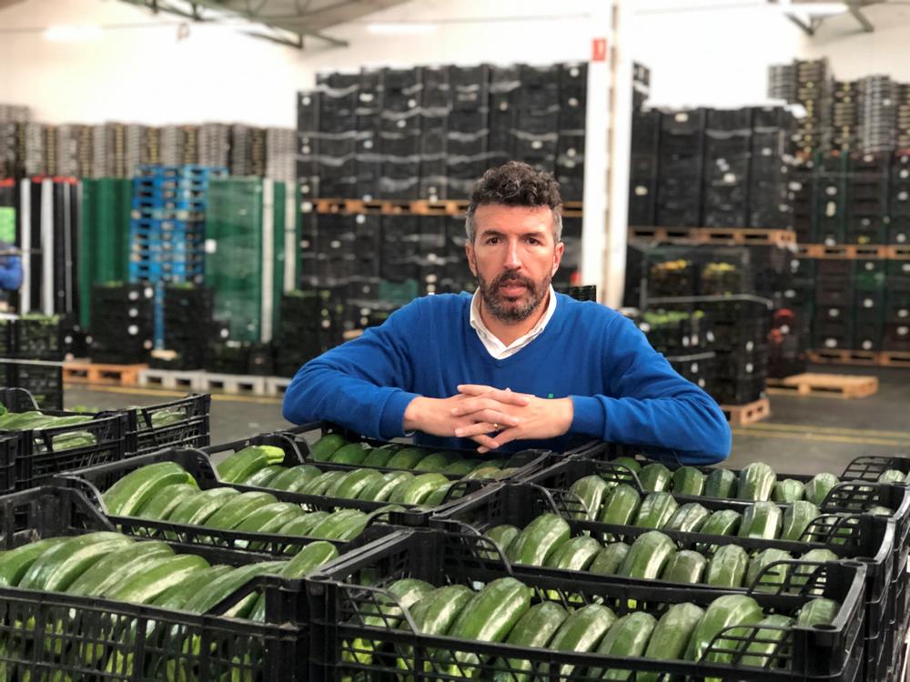 José Castañeda subraya que “desde hace tiempo, entre octubre y enero, el volumen de producción de calabacín en el Campo de Níjar supera al del Poniente”