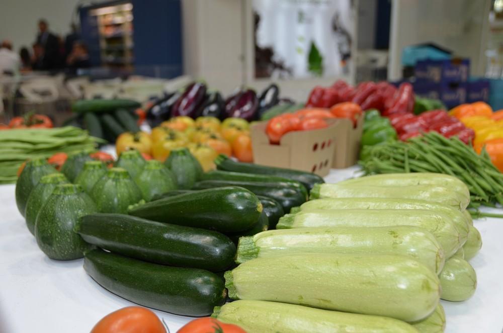 Subida generalizada de las hortalizas almerienses en vísperas de Nochebuena