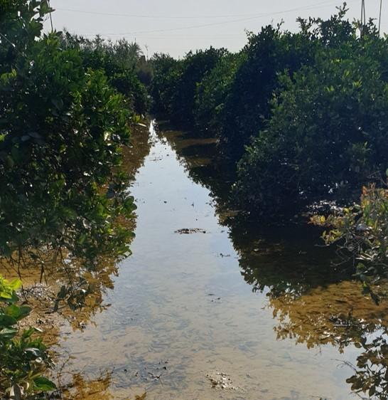 El Ministerio de Agricultura aprobó en 2019 inversiones por 10 millones de euros tras los daños ocasionados por incendios y la DANA
