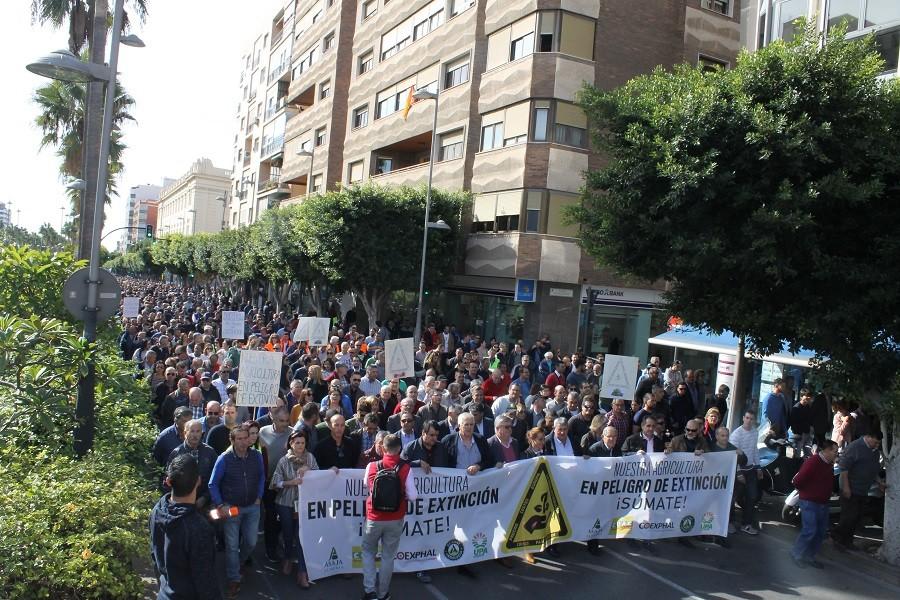 Las organizaciones del sector hortícola piden una reunión a la Comisión de Agricultura del Congreso para reclamar soluciones a la crisis