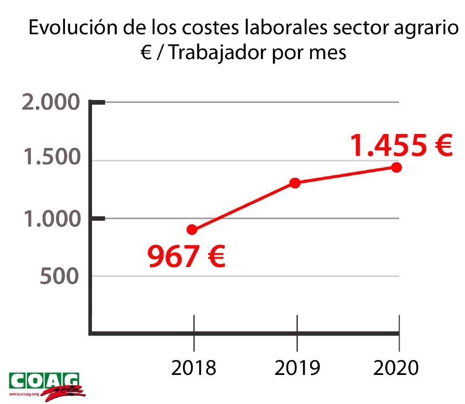 La subida del SMI disparará un 50,4% los costes laborales para los agricultores