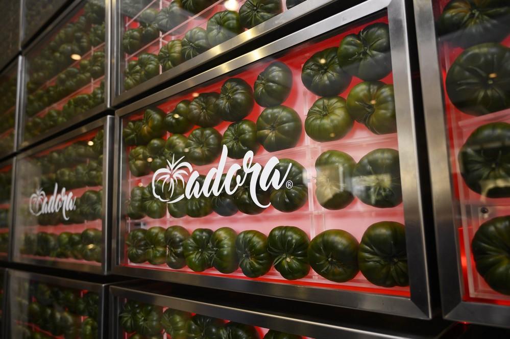 El alcalde de Almería muestra su apoyo al “principal sector económico de la provincia” en la presentación del tomate 'Adora' de 'Verdita'