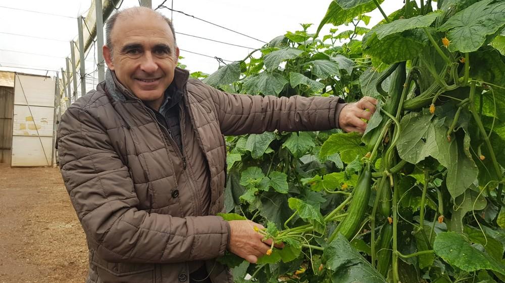 “Sqisito es sanidad de planta y seguridad en fruto”