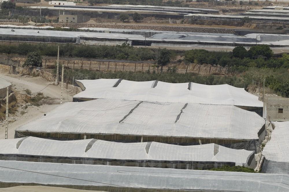 Agricultura amplía en 2,7 millones las ayudas para la mejora de invernaderos en Andalucía
