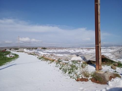 El Ministerio de Agricultura, Pesca y Alimentación recuerda que los seguros agrarios cubren los daños de las tormentas en las explotaciones