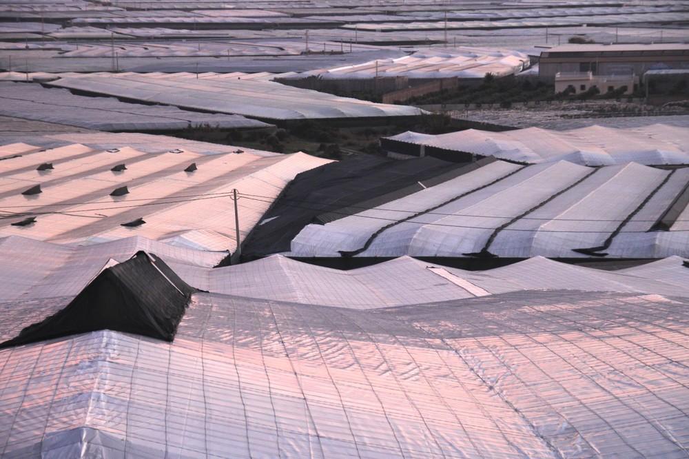 Agricultura facilitará al sector hortofrutícola un mecanismo de refinanciación de deuda