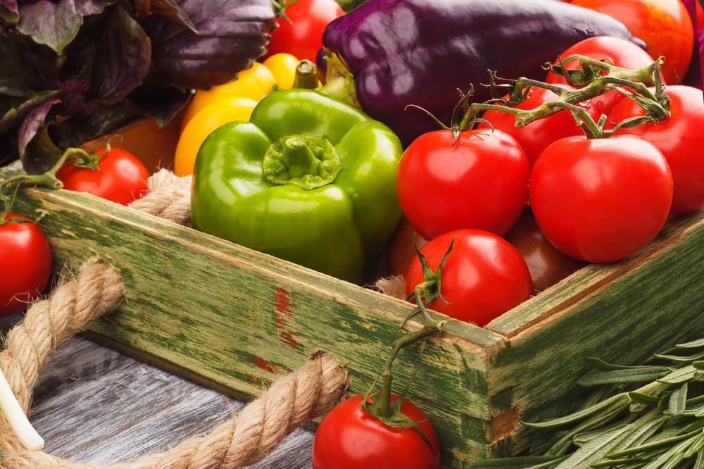 Import-Export Fruva, innovación, calidad y trabajo continuo