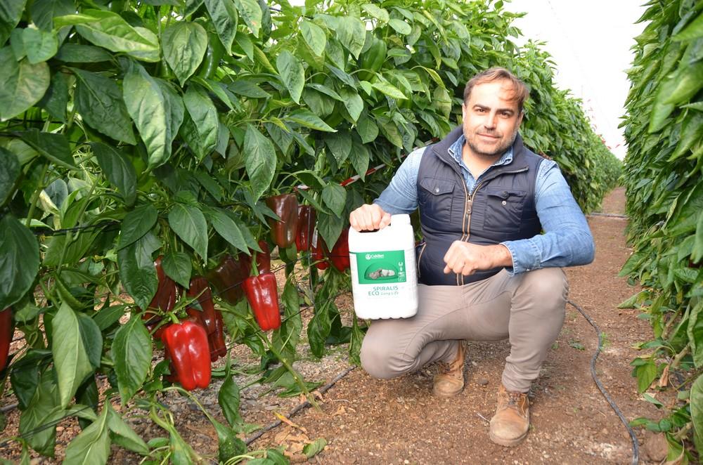 “Spiralis Eco Long Life es un bioprotector con el que he observado excepcionales resultados en todos los cultivos”