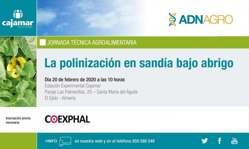 Las Palmerillas acogerá la jornada técnica ‘La polinización en sandía bajo abrigo’