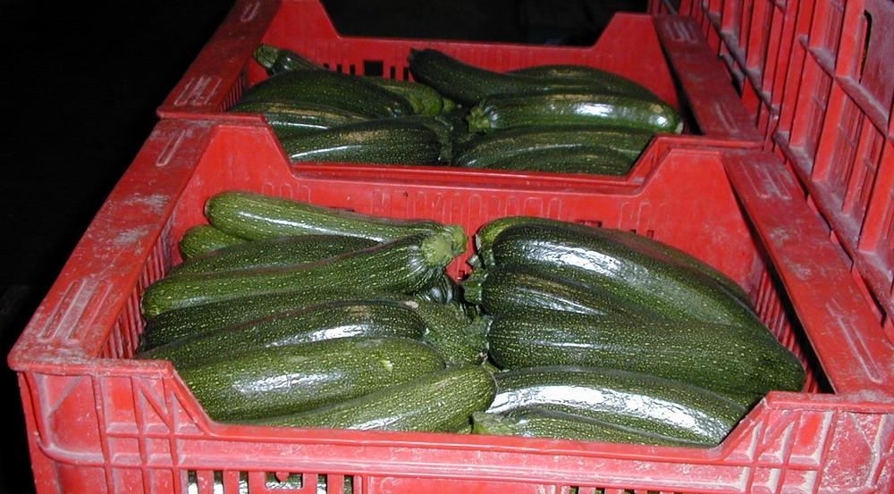 Calabacín, berenjena y tomate caen de precio en la semana siete del año