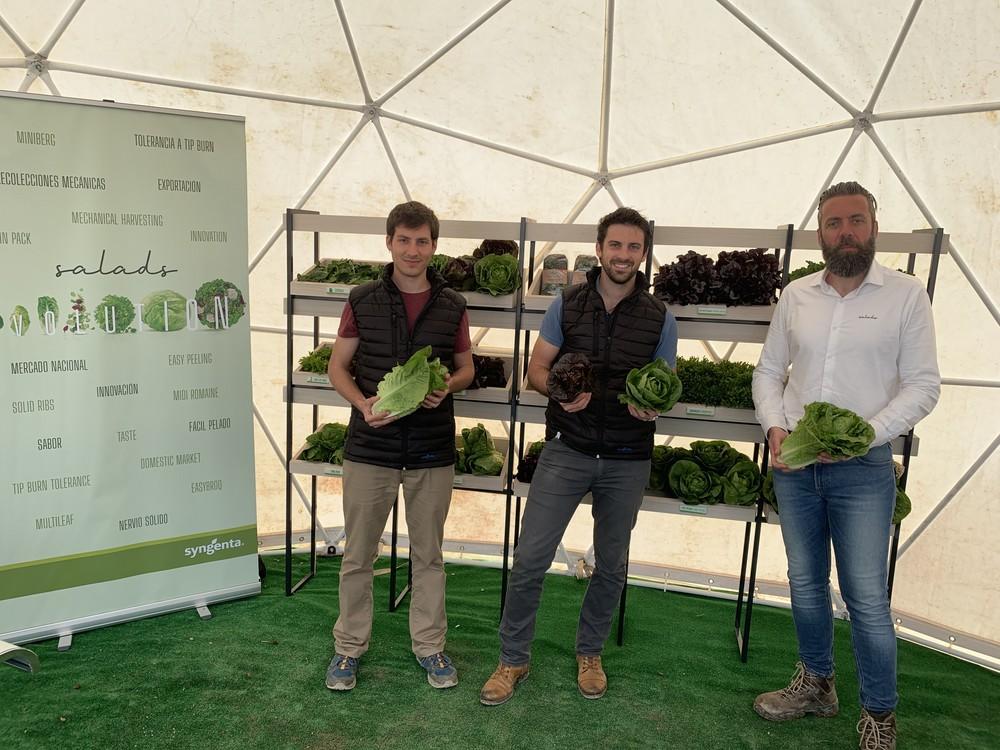 La innovación en cultivos de hoja, pieza clave para la sostenibilidad productiva y ambiental de este sector