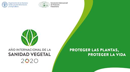 AFEPASA se suma a la celebración del Año Internacional de la Sanidad Vegetal