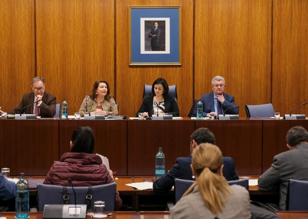  Crespo lamenta que las medidas del Real Decreto Ley “son insuficientes y llegan tarde”