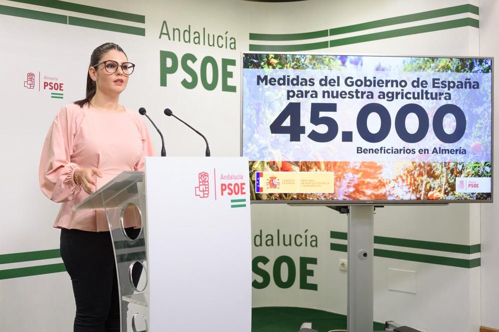 El PSOE destaca que las medidas aprobadas por el Gobierno de Pedro Sánchez beneficiarán a 45.000 almerienses