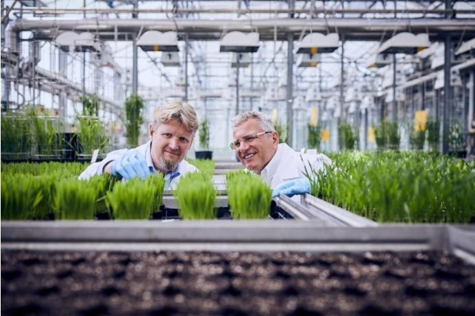 El nuevo enfoque de la estrategia de BASF impulsa un crecimiento del 25% de los proyectos de I+D de la compañía