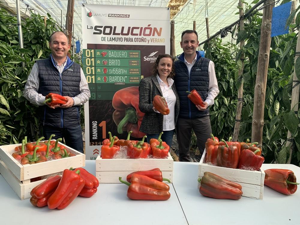 Barden se suma al catálogo de lamuyo de Seminis ofreciendo tamaño, firmeza y un extra de calidad