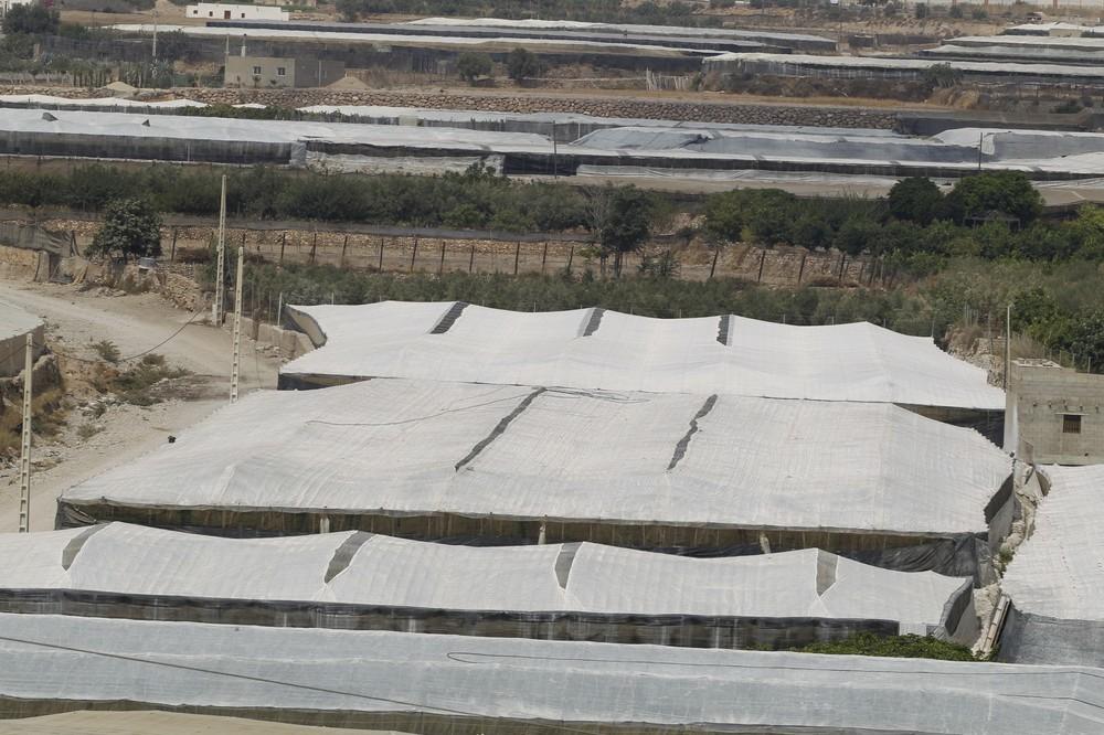 Adjudicadas ayudas por más de 12,17 millones para la mejora de 229 invernaderos