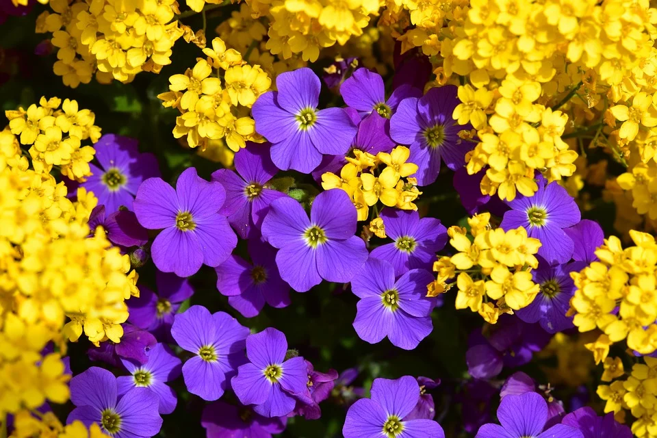 COAG Andalucía pide ayudas urgentes para los floricultores, en la ruina por el coronavirus