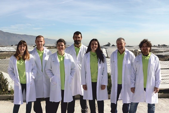 Meridiem Seeds lleva a cabo actualmente tres grandes proyectos de investigación en lechuga