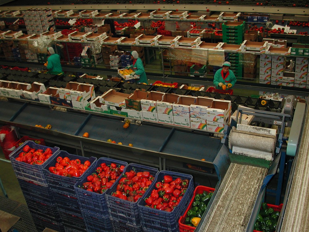  Agapa facilita el acceso telemático a la declaración responsable para el desplazamiento de trabajadores del sector agroalimentario