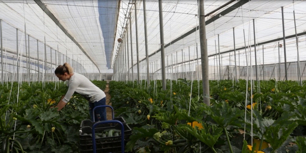 ASAJA recuerda que profesionales del sector agrario pueden acogerse a la ayudas para los autónomos de la Junta