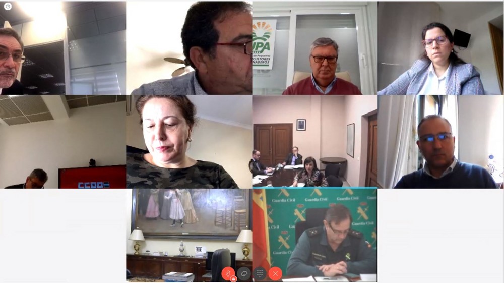 La Delegación de Gobierno en Andalucía constituye la Comisión de Seguimiento de medidas urgentes para favorecer la contratación temporal de trabajadores en el sector agrario