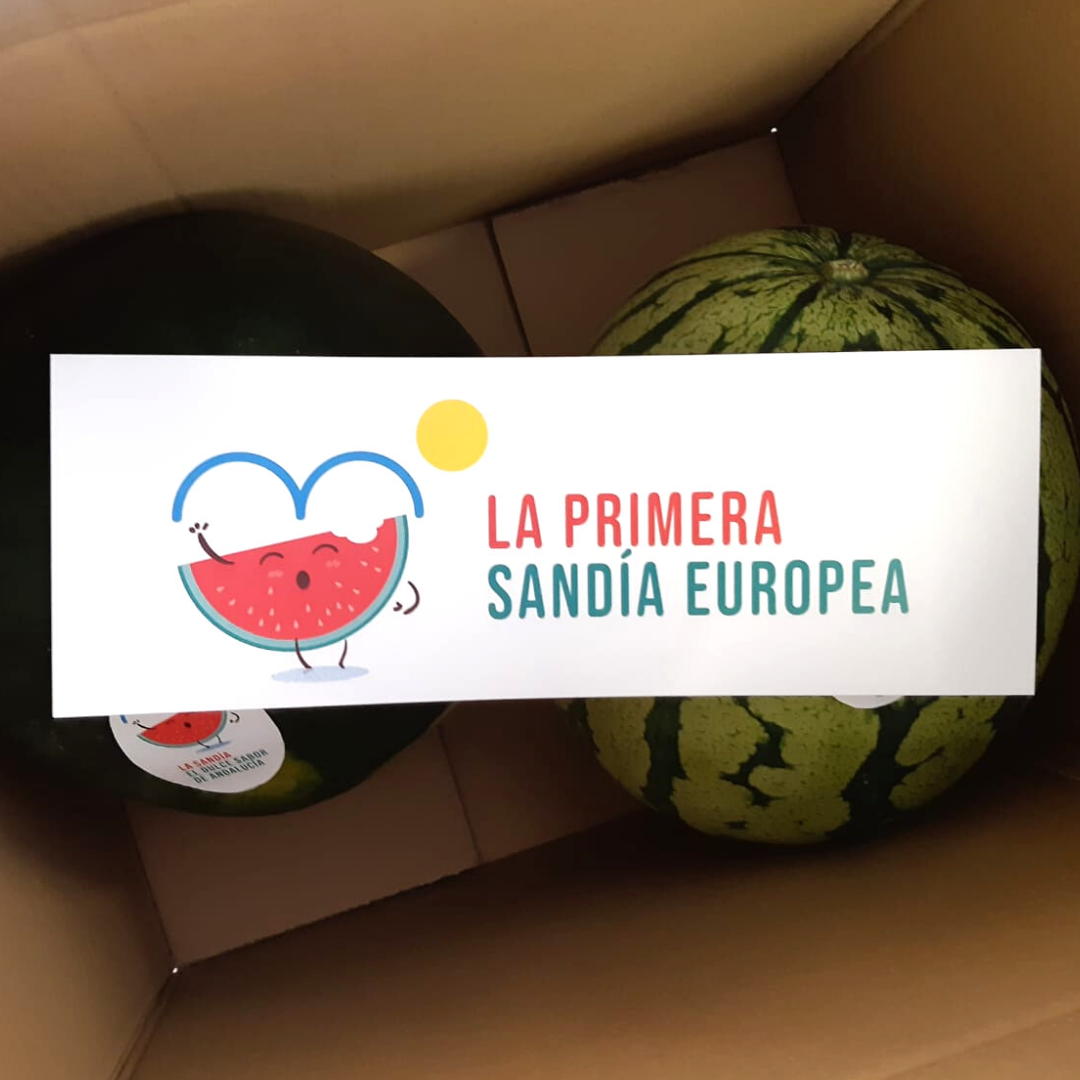 COEXPHAL y HORTIESPAÑA inician una campaña para poner en valor a la sandía  del sur de España