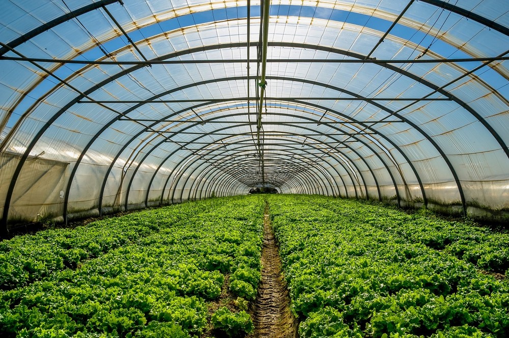  Ifapa lidera una investigación para mejorar la producción bajo invernadero con sistemas pasivos de calefacción y refrigeración
