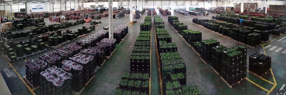 Grupo Agroponiente continúa con una actividad comercial normalizada e incrementa sus ventas durante la crisis del COVID19