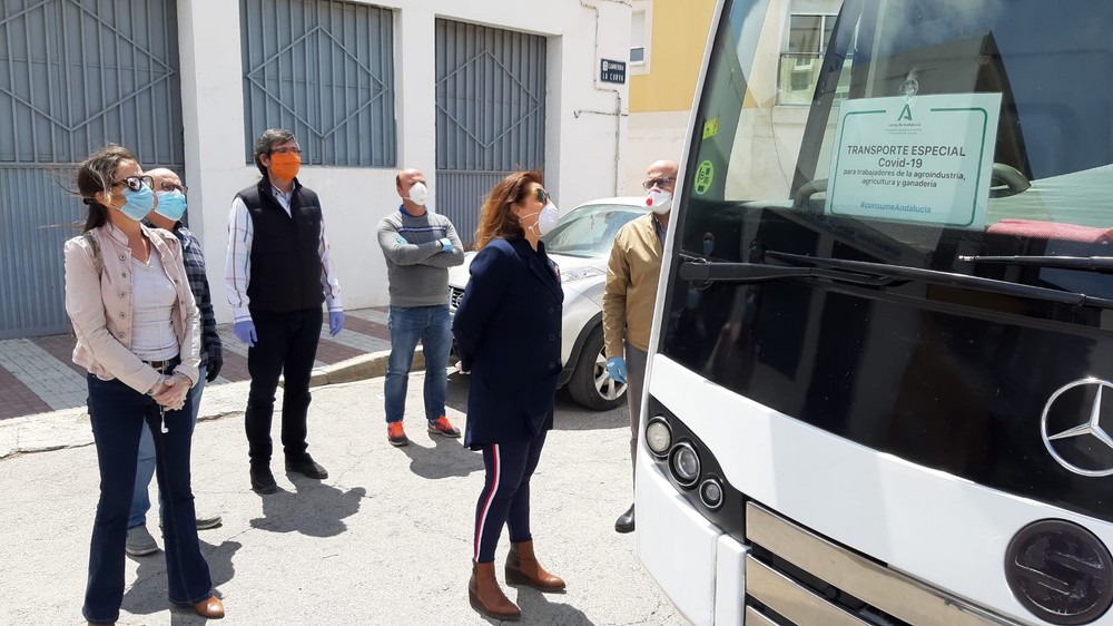 La Junta activa de forma progresiva las 24 rutas de autobuses para trabajadores del sector agrario