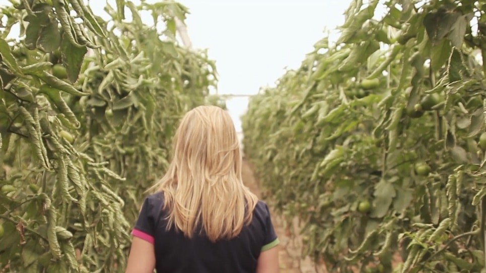 La Junta señala a la agricultura almeriense como referente de buenas prácticas agrícolas