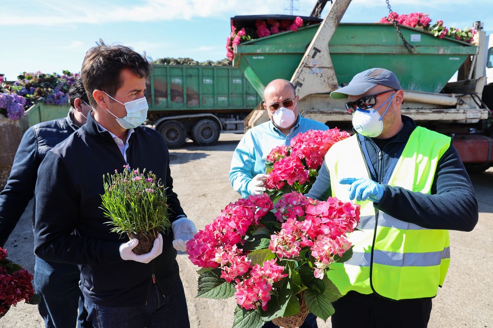 Góngora pide al Gobierno de España que apruebe ayudas urgentes para compensar las pérdidas del sector de flor y planta ornamental