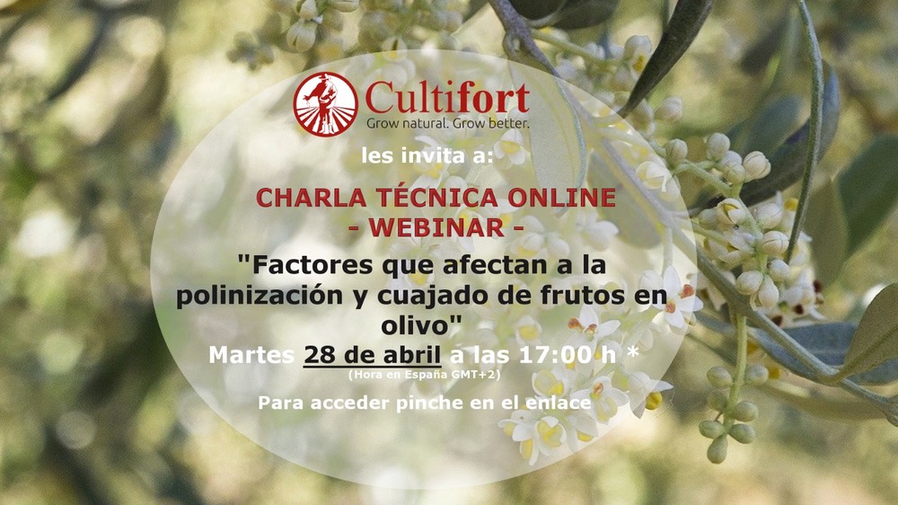 Cultifort ofrece una charla técnica online sobre los “Factores que afectan a la polinización y cuajado de frutos en olivo”